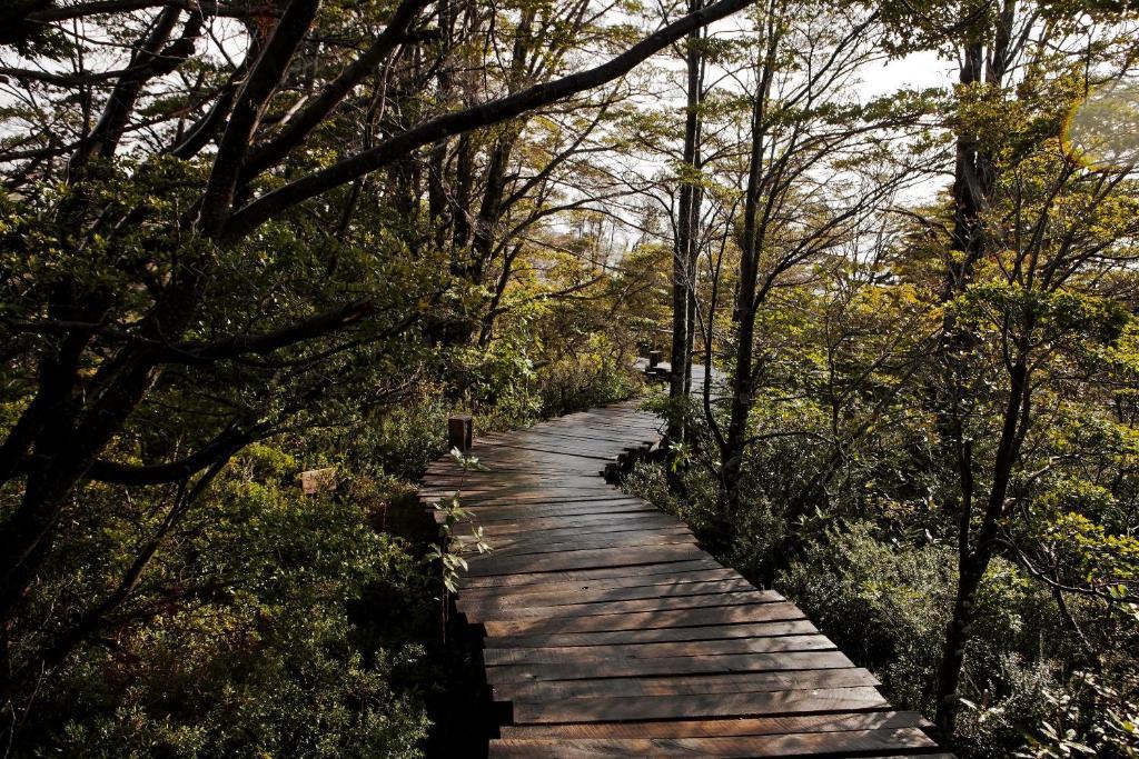 Hotel Patagonia Camp à Torres del Paine National Park Extérieur photo